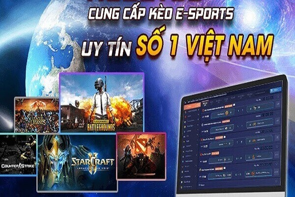 Hướng dẫn đặt cược Esports cơ bản