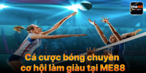 Cá Cược Bóng Chuyền