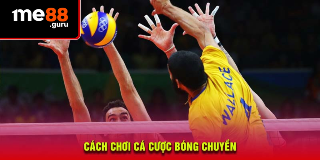 Cách chơi cá cược bóng chuyền hiệu quả tại Me88